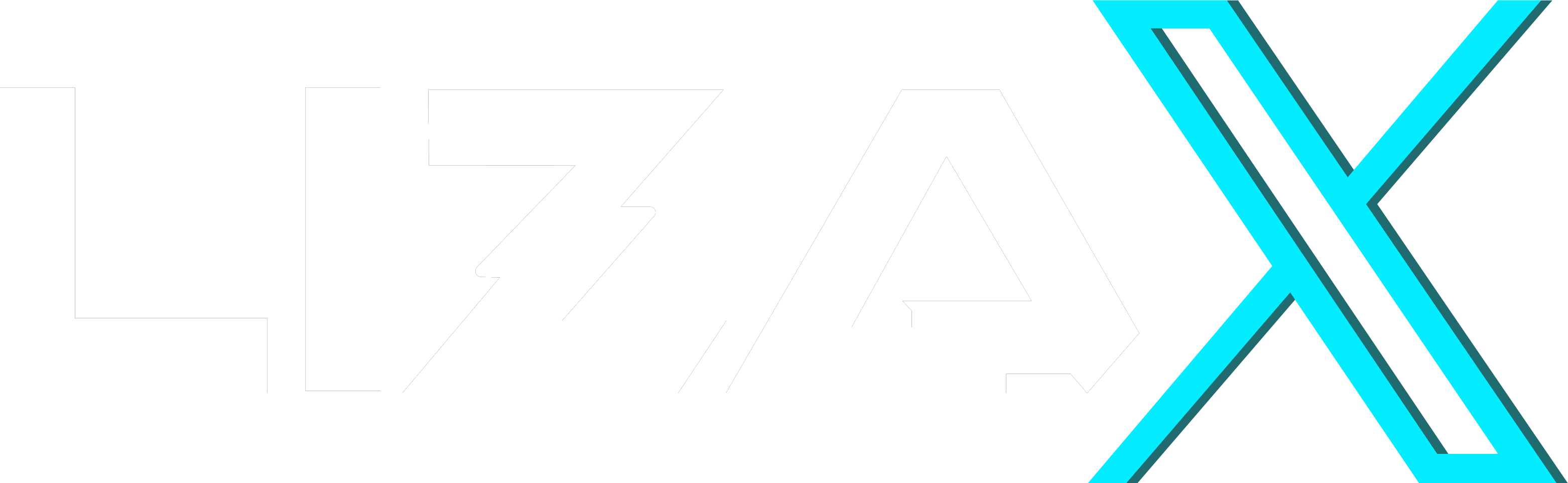 LizaX-logo